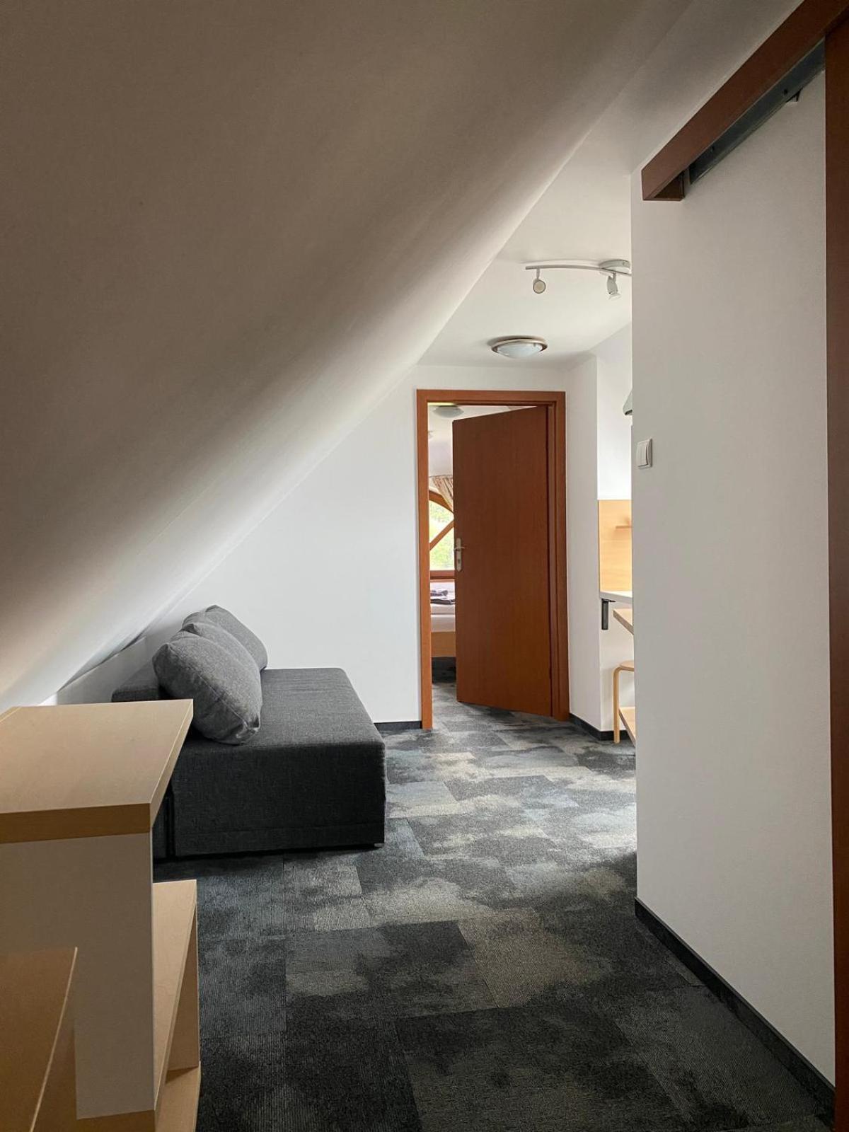 Pod Orlica Apartment ดุสนิกิ สดรอย ภายนอก รูปภาพ