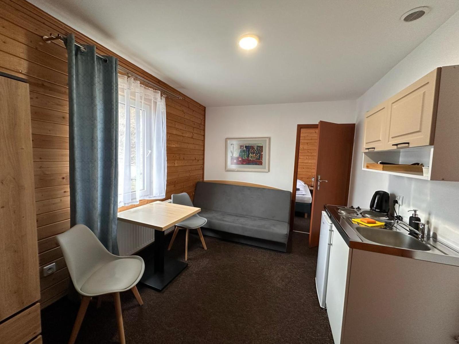 Pod Orlica Apartment ดุสนิกิ สดรอย ห้อง รูปภาพ